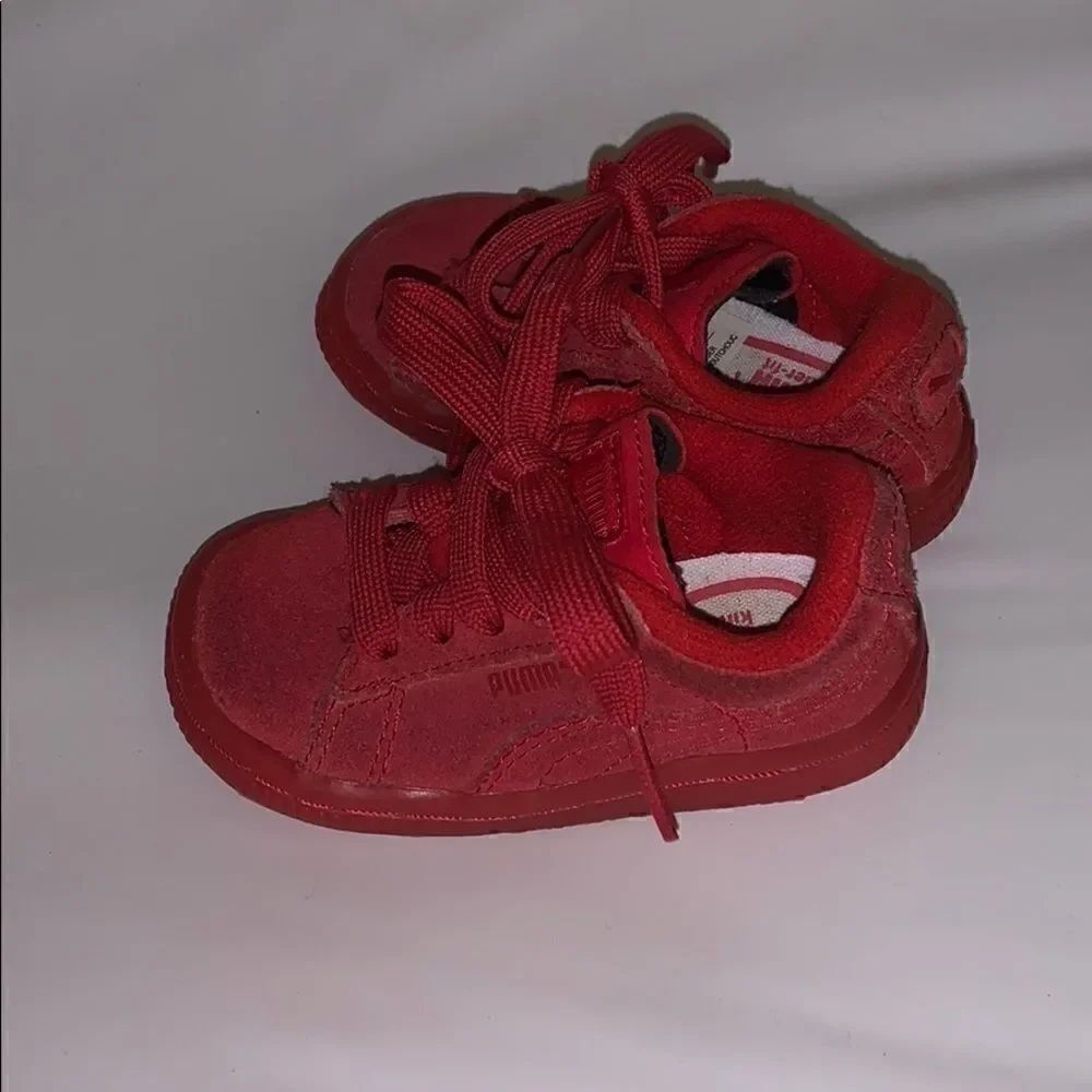 Puma   